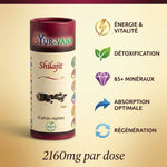Shilajit Ayur-Vana 60 gélules avec bénéfices: énergie, détoxification, 85+ minéraux, absorption optimale
