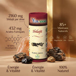 Shilajit Ayur-Vana 60 gélules avec minéraux naturels, acides fulviques et ingrédients ayurvédiques pour l'énergie