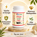 Shilajit poudre AYur-vana 100g avec bénéfices : vitalité, antioxydant, minéraux, rajeunissement