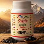 Shilajit poudre 100g AYur-vana avec cuillère en bois sur fond montagne himalayenne