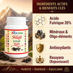 Shilajit poudre AYur-vana 100g avec ingrédients actifs acide fulvique et minéraux