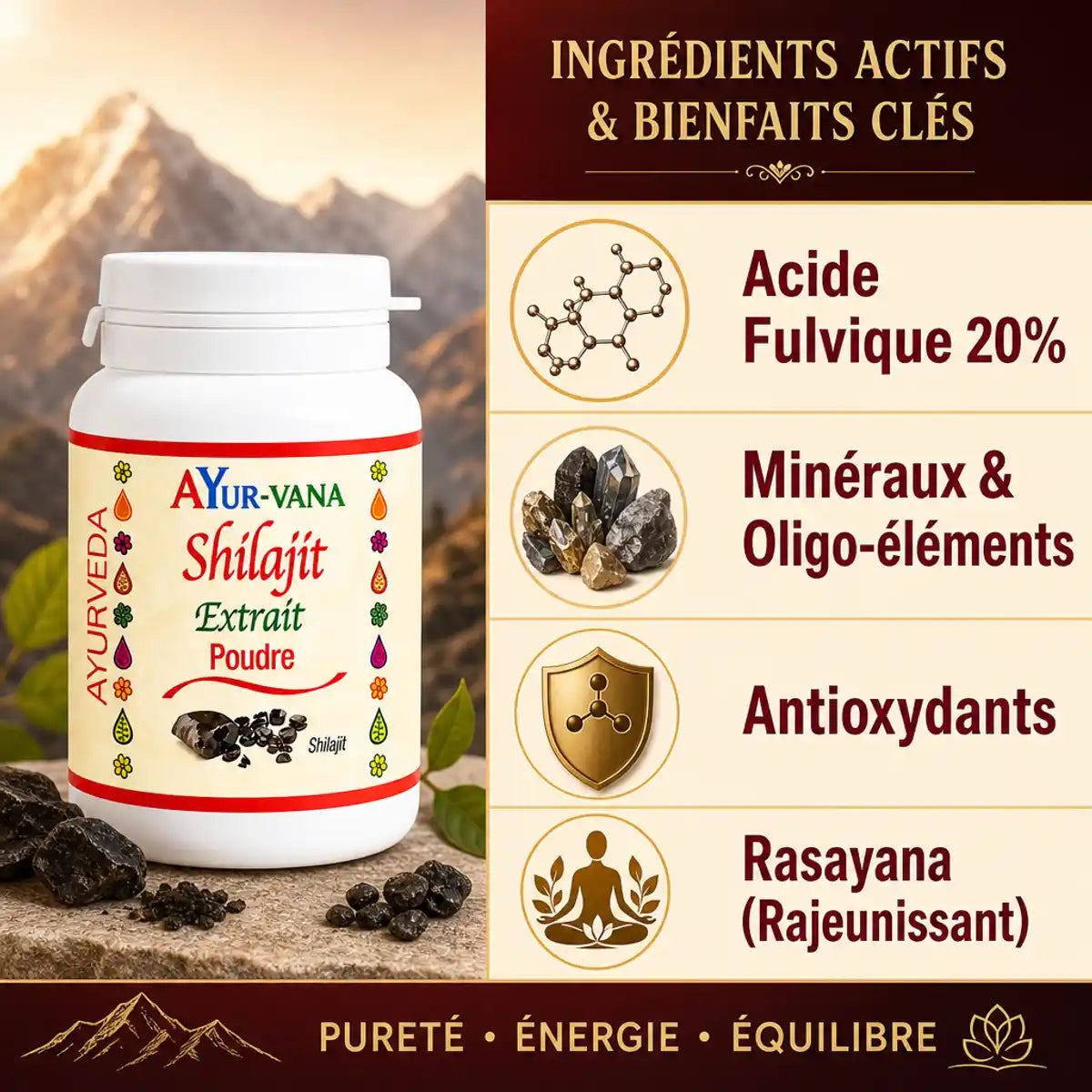 Shilajit poudre AYur-vana 100g avec ingrédients actifs acide fulvique et minéraux