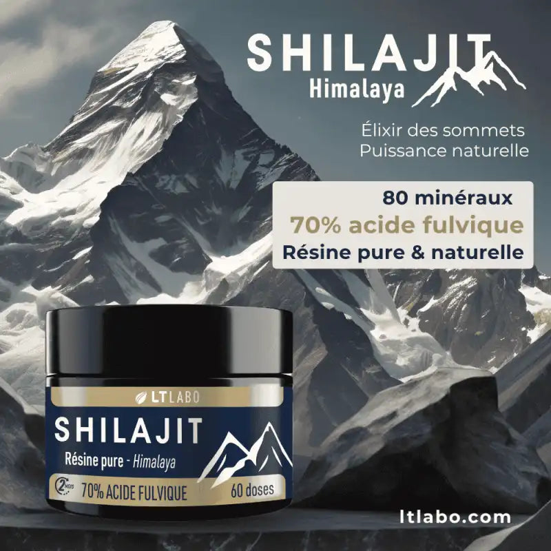 Les bienfaits des 80 minéraux contenus dans le Shilajit Résine pure de LT Labo