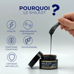 Pourquoi consommet du Shilajit Résine pure de LT Labo