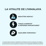 Les bienfaits des gélules de Shilajit Vitalform d'INOLAB