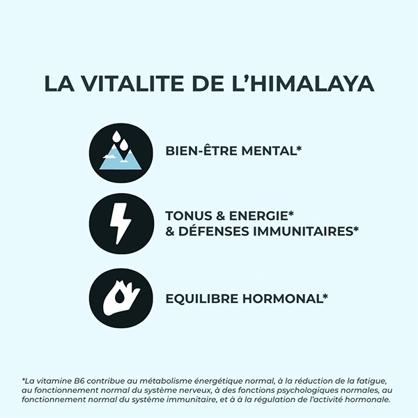 Les bienfaits des gélules de Shilajit Vitalform d'INOLAB