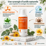 Silachoc 100ml gel articulaire avec ingrédients naturels arnica menthol camphre silicium organique