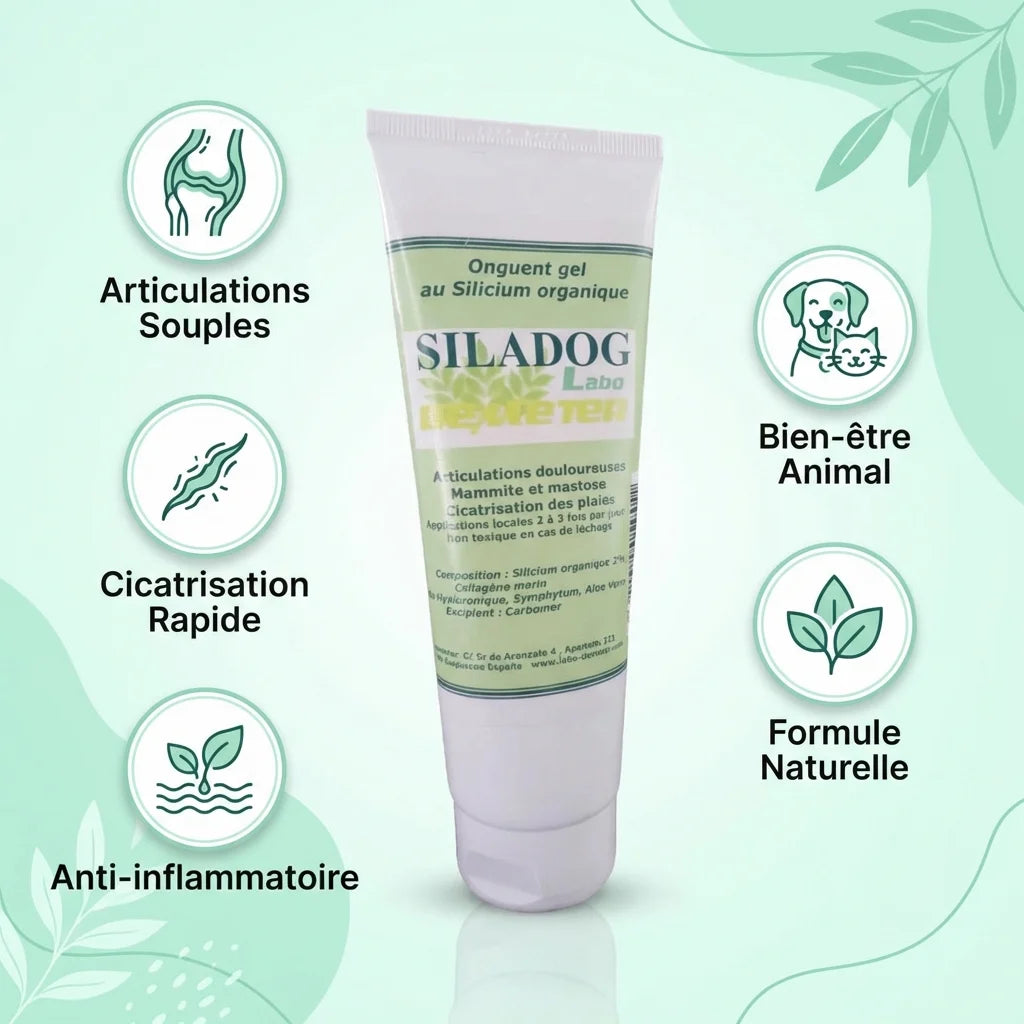 Siladog crème articulations et cicatrisant pour chien chat avec icônes bénéfices naturels