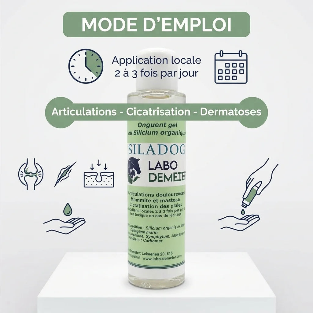 Siladog gel silicium articulations cicatrisation chien chat avec posologie application locale