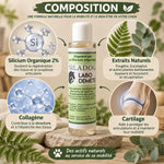 Crème Siladog composition infographie : silicium organique, extraits naturels, collagène pour articulations chien chat