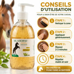 Gel Silahorse 300g articulations cheval avec guide application 4 étapes