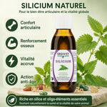 Silicium Ergyvet 100ml - Confort articulaire chien chat avec bénéfices osseux et vitalité