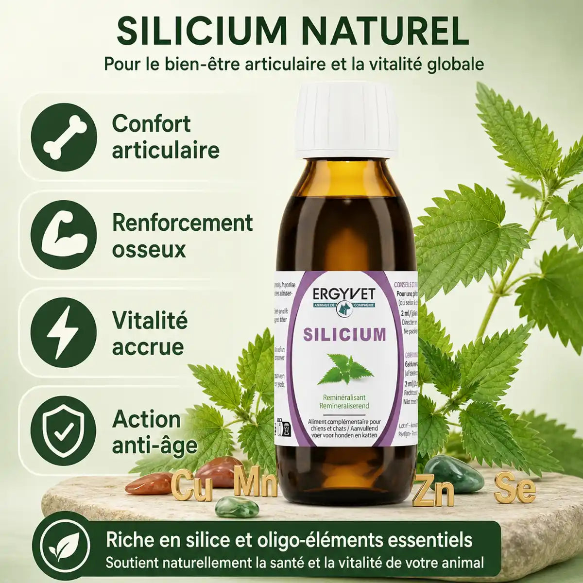 Silicium Ergyvet 100ml - Confort articulaire chien chat avec bénéfices osseux et vitalité
