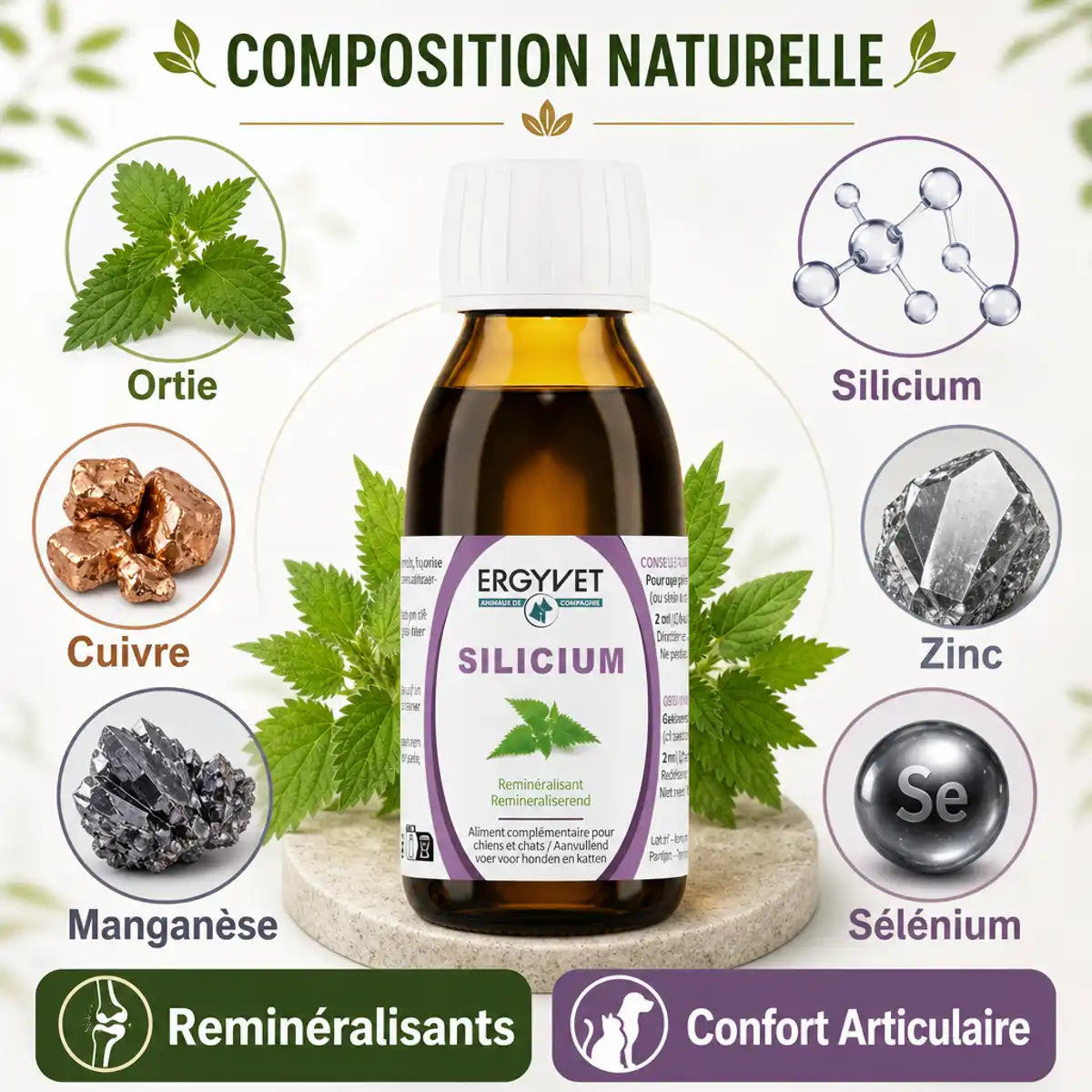 Ergyvet Silicium 100ml pour confort articulaire chien chat avec composition naturelle à base d'ortie