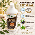 Silicium Organique Olivital + Active 1L avec composition: silicium organique, acide orthosilicique, cassis et stévia