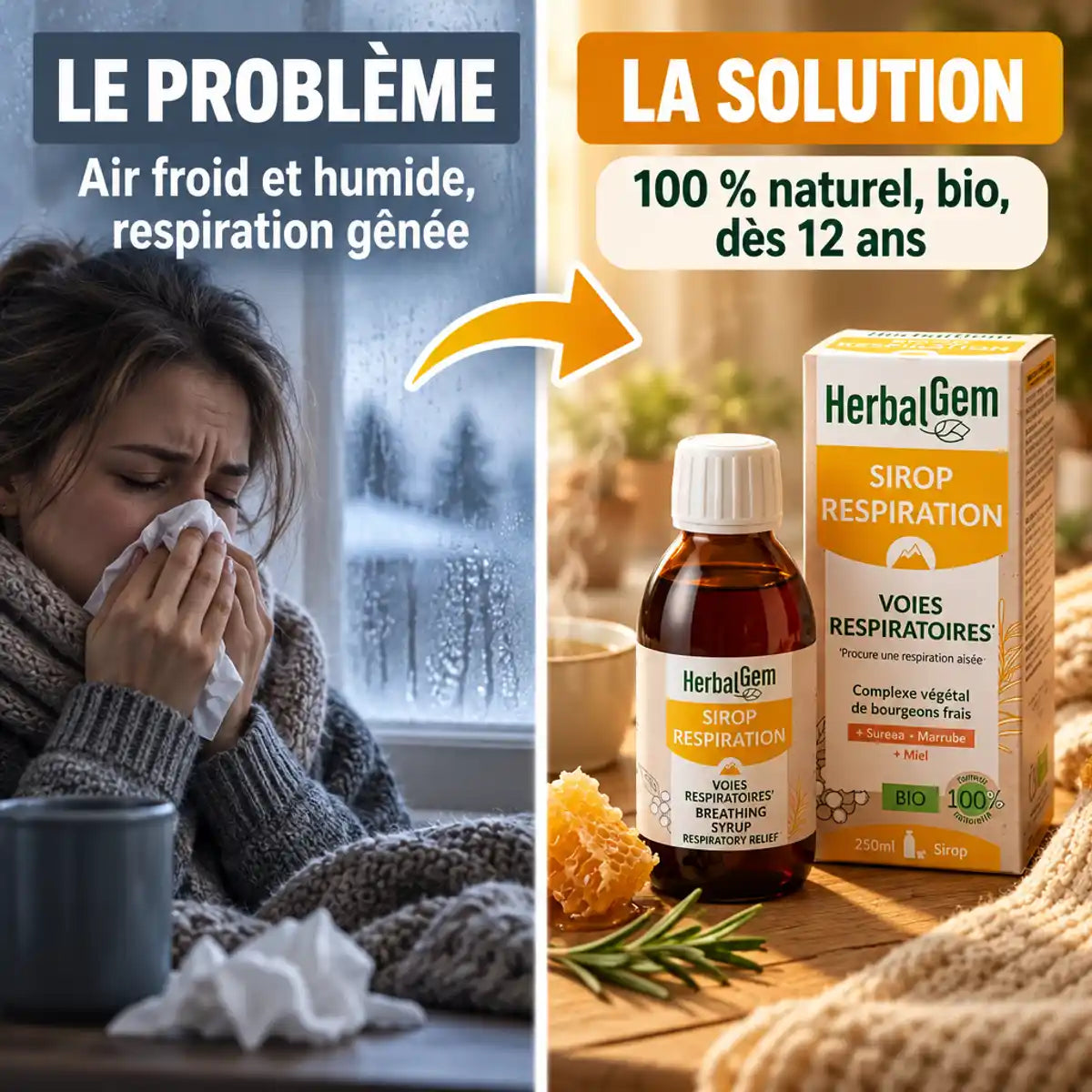Infographie problème-solution : Sirop Respiration bio HerbalGem 250 ml contre la respiration gênée par l'air froid