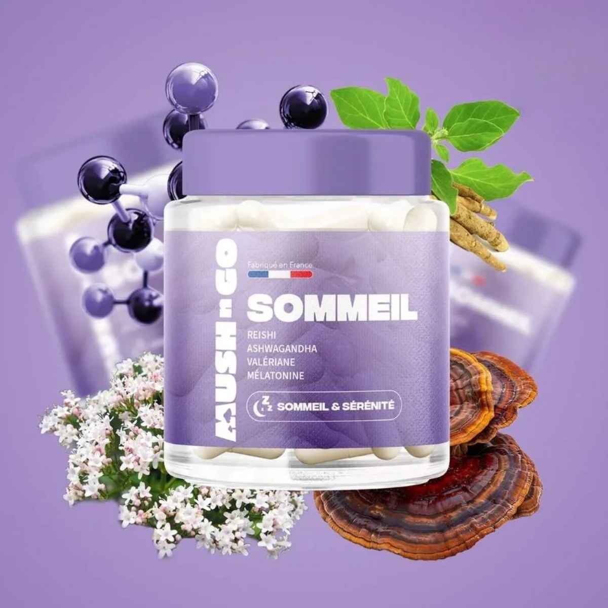 Flacon MushnGo Sommeil+ avec Reishi, Ashwaganda et Mélatonine sur fond lavande