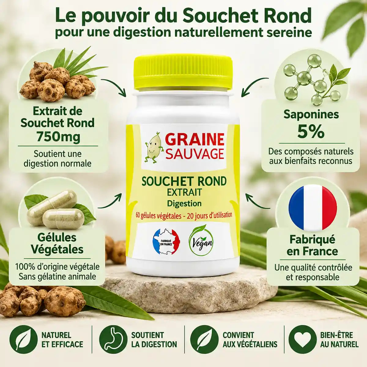 Souchet rond 750mg gélules végétales Graine Sauvage fabriqué en France avec infographie ingrédients