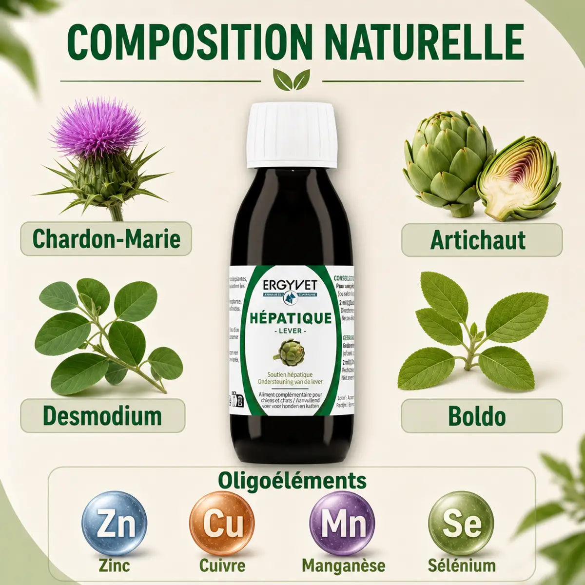 Ergyvet Hépatique 100ml pour chien et chat avec ingrédients naturels chardon-marie et artichaut