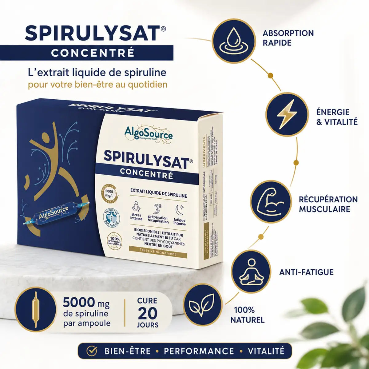 Spirulysat Concentré AlgoSource - Extrait liquide de spiruline 5000mg avec 5 bénéfices clés