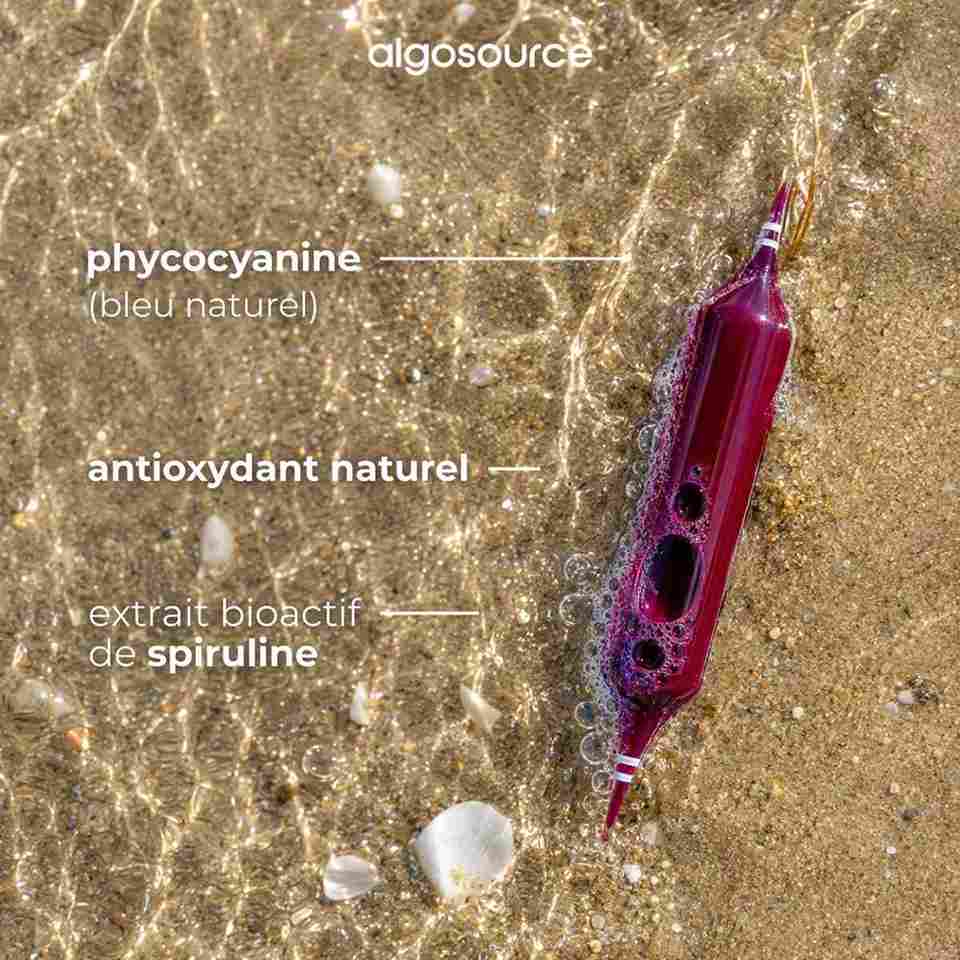 Composition du spirulysat algosource concentré.