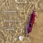 Composition du spirulysat algosource concentré.