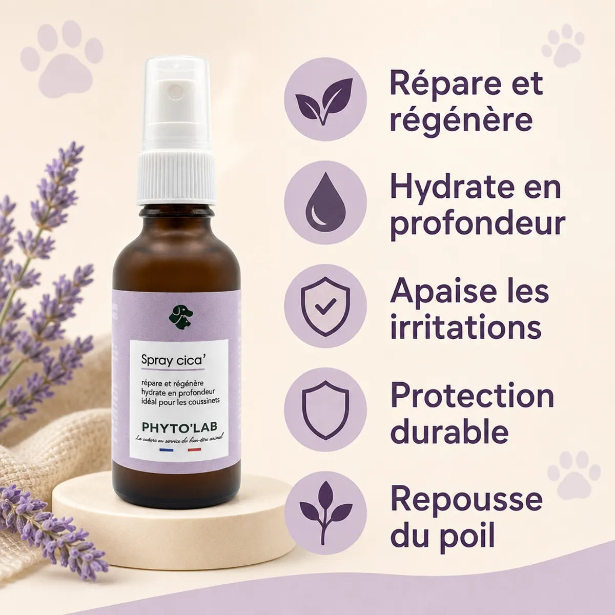 Spray Cica' Phyto'Lab 30ml pour coussinets et plaies avec bénéfices hydratants et apaisants