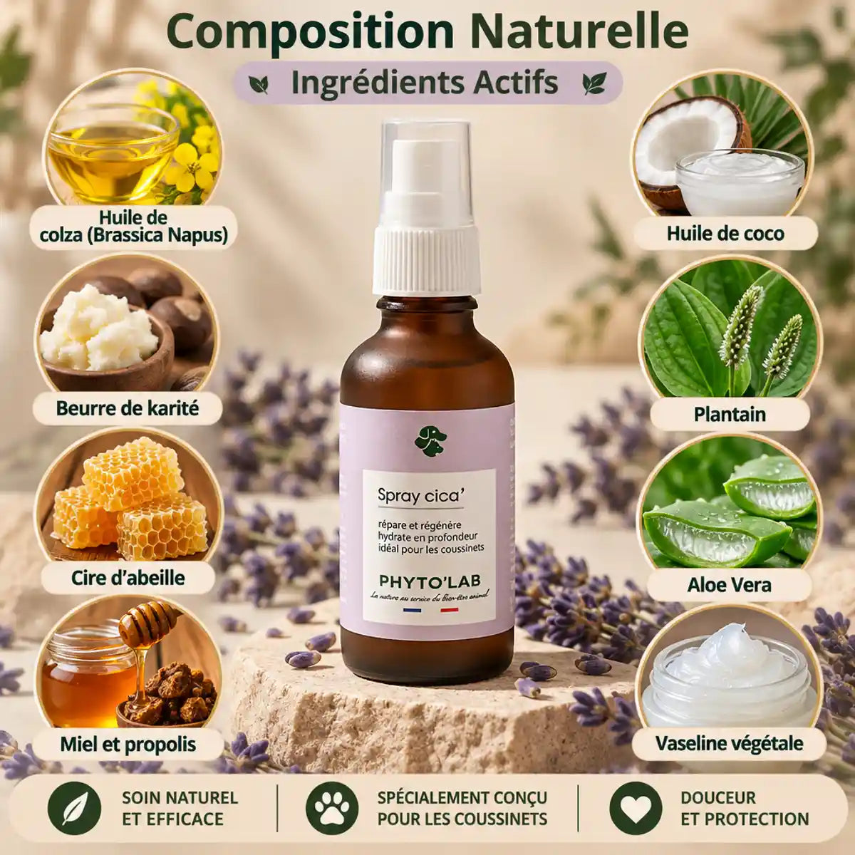 Spray Cica' 30ml Phyto'Lab avec ingrédients naturels : huile, beurre karité, miel et aloe vera