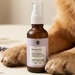 Spray Cica' 30ml Phyto'Lab pour coussinets et plaies de chien, flacon verre ambré