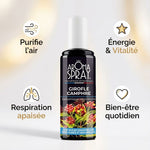 Spray d'ambiance Girofle Camphre 100ml avec bénéfices : purifie l'air, énergie, respiration apaisée