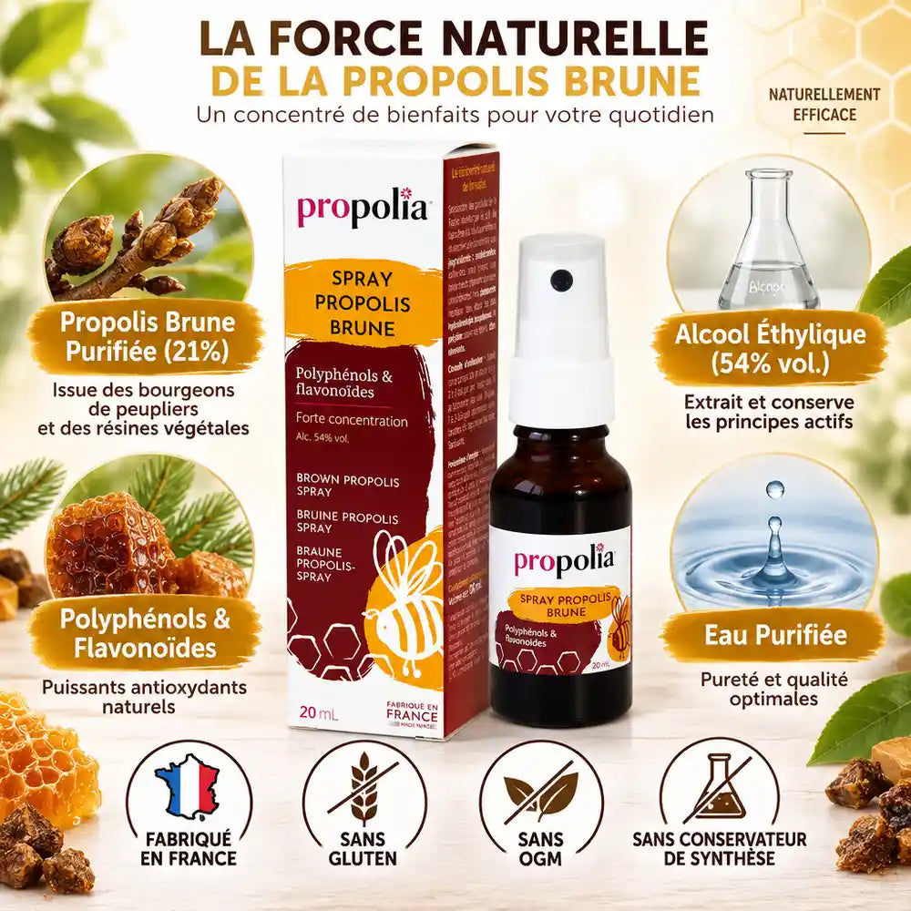 Spray de propolis brune Propolia avec ingrédients naturels et certifications France en infographie éducative