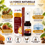 Spray de propolis brune Propolia avec ingrédients naturels et certifications France en infographie éducative