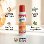 Spray désodorisant Etamine du Lys 125ml avec bénéfices naturels et purifiants affichés