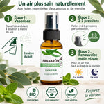 Spray Eucaly'pur Bio 30ml Pranarom eucalyptus menthe avec guide utilisation et certifications