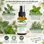 Spray Eucaly'pur Bio 30ml Pranarom eucalyptus menthe certifié bio vegan