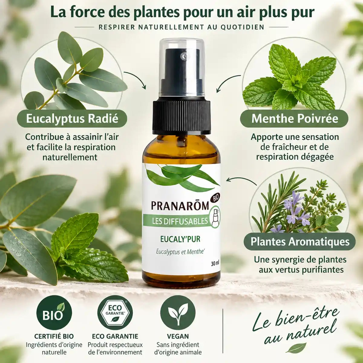 Spray Eucaly'pur Bio 30ml Pranarom eucalyptus menthe certifié bio vegan