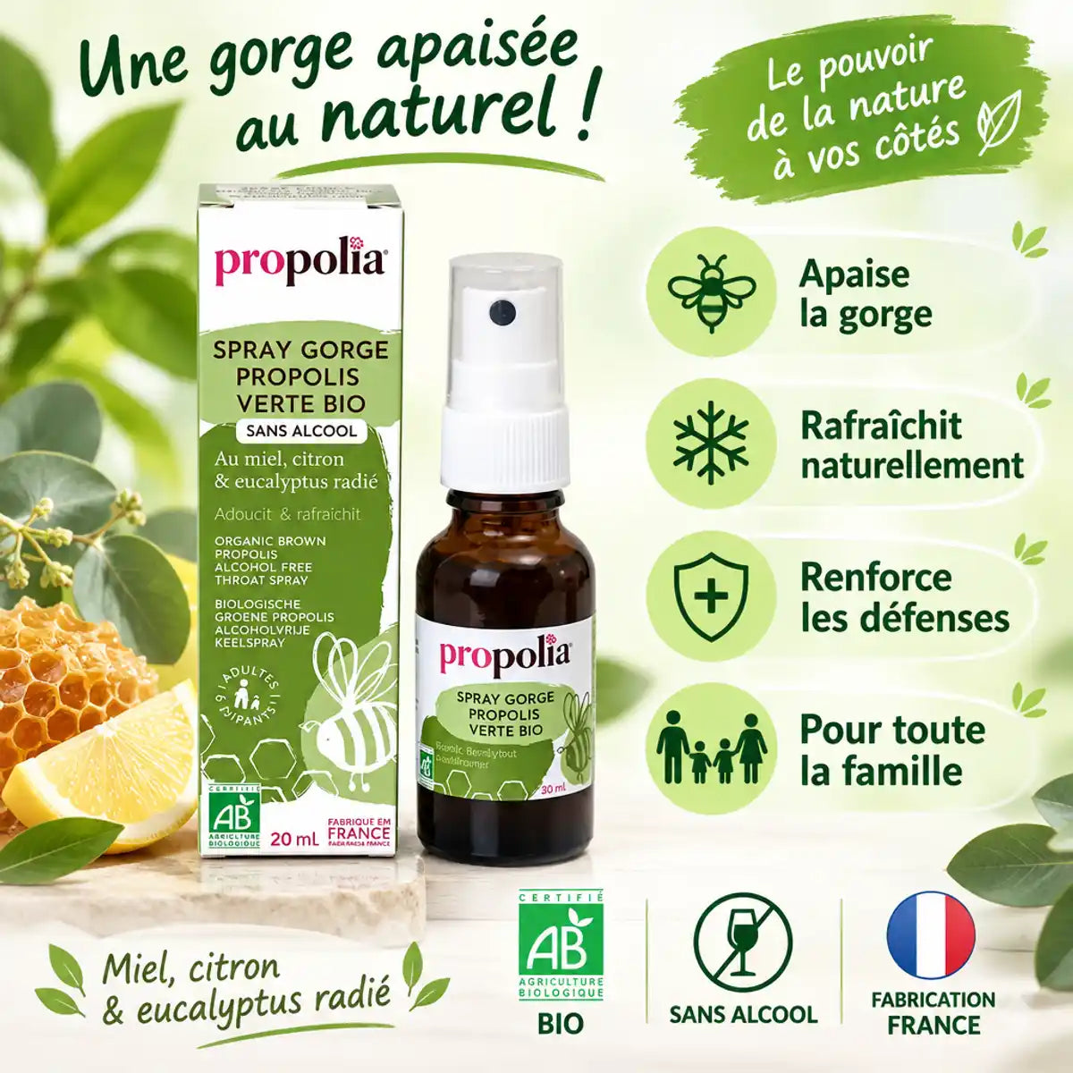 Spray gorge propolis verte bio sans alcool Propolia avec ses 4 bénéfaits naturels en infographie