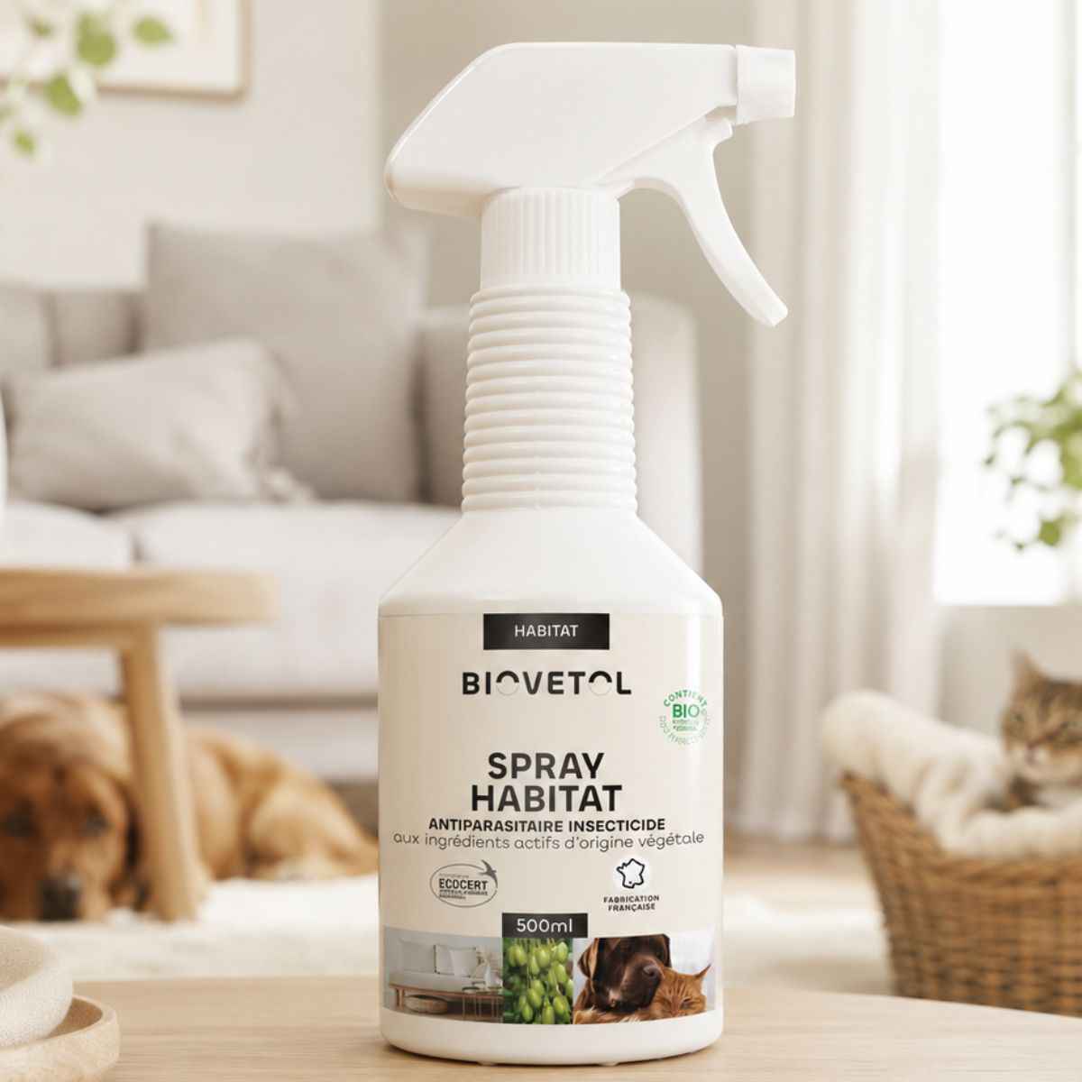 un spray habitat de la marque biovetol mis en ambiance dans un salon