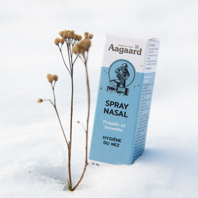 Un Spray Nasal Propolis Bio Aagaard dans la neige, avec une boswellia devant