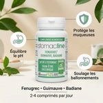 Stomacline Bio 40 comprimés LT Labo - Équilibre pH, protège muqueuses, soulage ballonnements