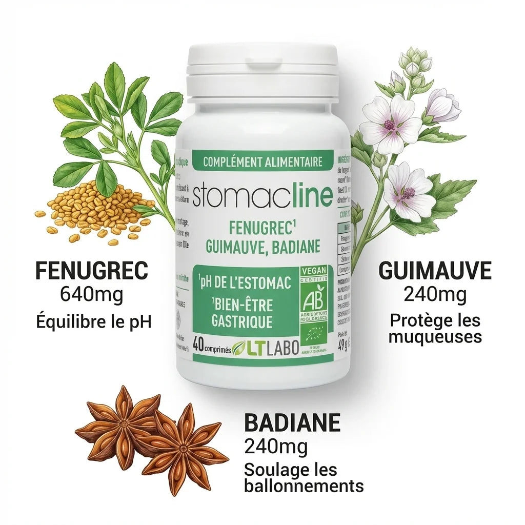 Stomacline Bio 40 comprimés LT Labo avec ingrédients botaniques fenugrec guimauve badiane