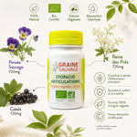 Stopacid Articulations Bio 60 gélules avec ingrédients naturels Pensée Sauvage, Reine des Prés et Cassis