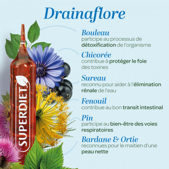 Les bienfaits de Une boite de Drainaflore Bio de Superdiet