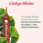 Les bienfaits du GINKGO BILOBA BIO sur la circulation sanguine et la mémoire