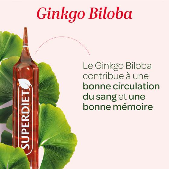 Les bienfaits du GINKGO BILOBA BIO sur la circulation sanguine et la mémoire