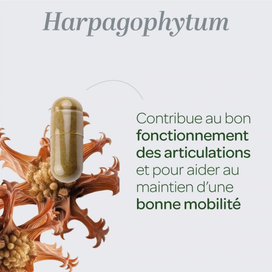Les bienfaits des comprimés d'Harpagophytum Bio Superdiet