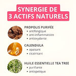 La synergie et les bienfaits des actifs naturels contenu dans le Soin des Oreilles pour Animaux de Propolia