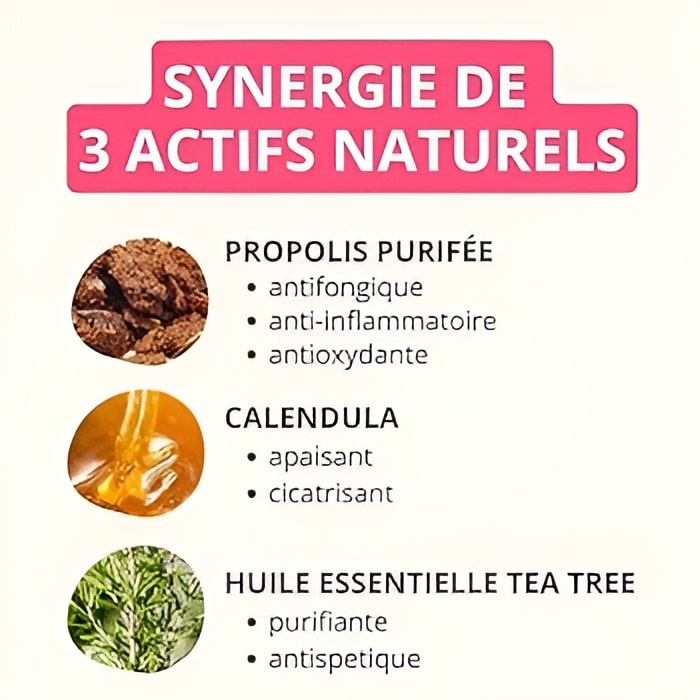 La synergie et les bienfaits des actifs naturels contenu dans le Soin des Oreilles pour Animaux de Propolia
