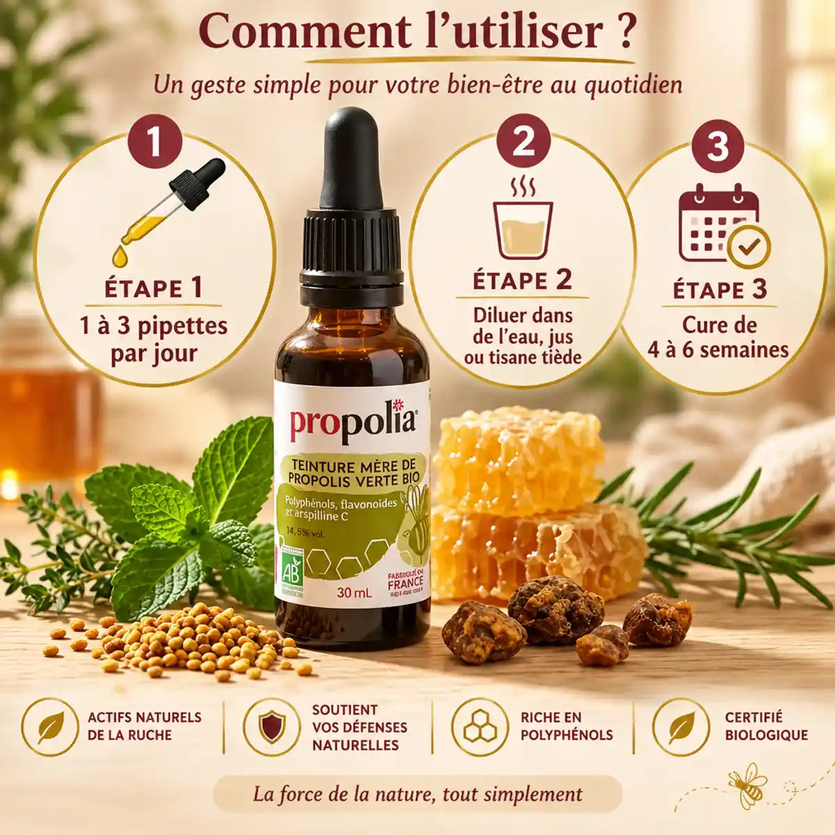 Teinture mère propolis verte bio 30ml Propolia avec instructions posologie et éléments naturels