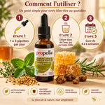 Teinture mère propolis verte bio 30ml Propolia avec instructions posologie et éléments naturels